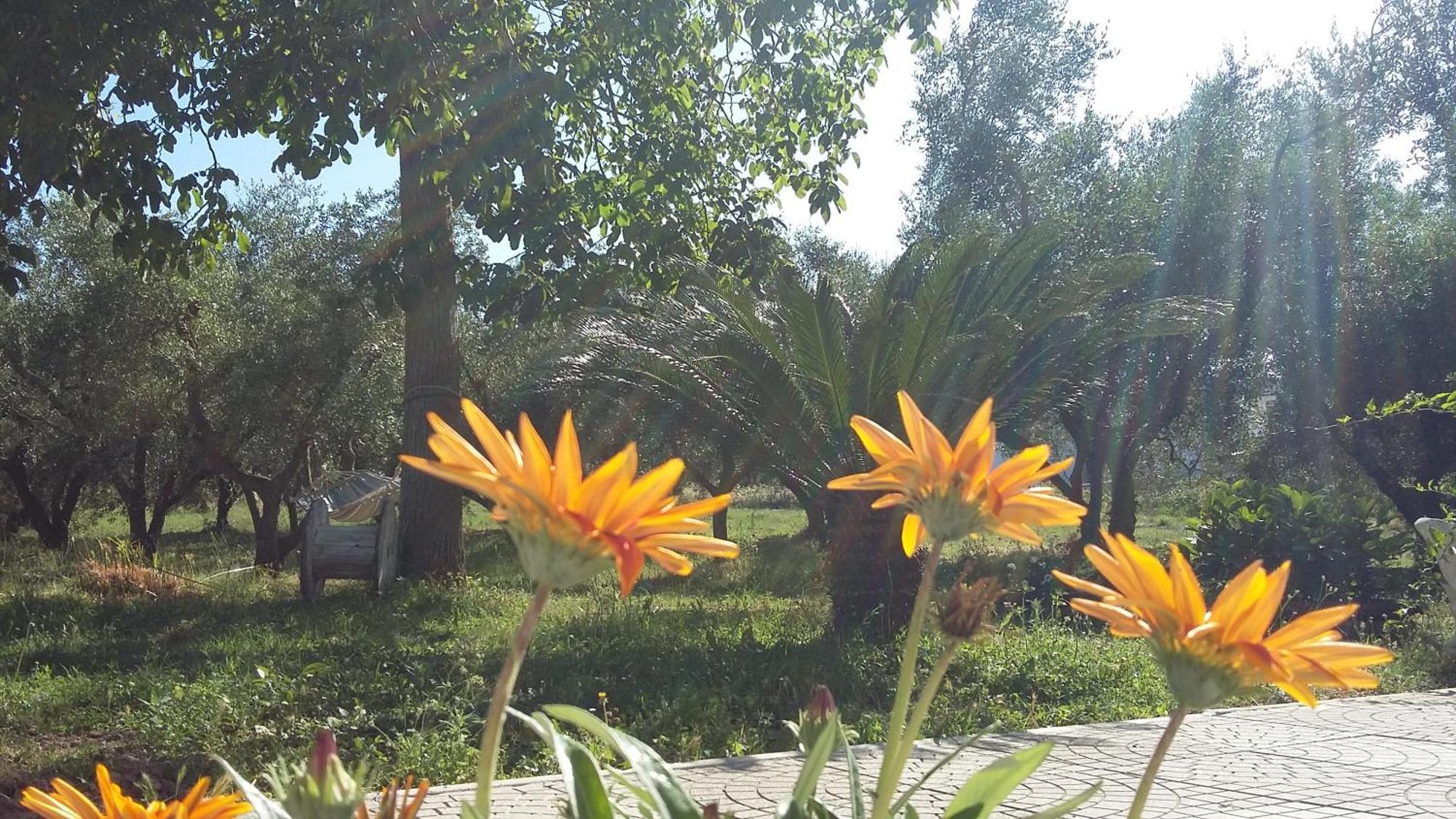 Agriturismo Santa Maria Marta Buitenkant foto