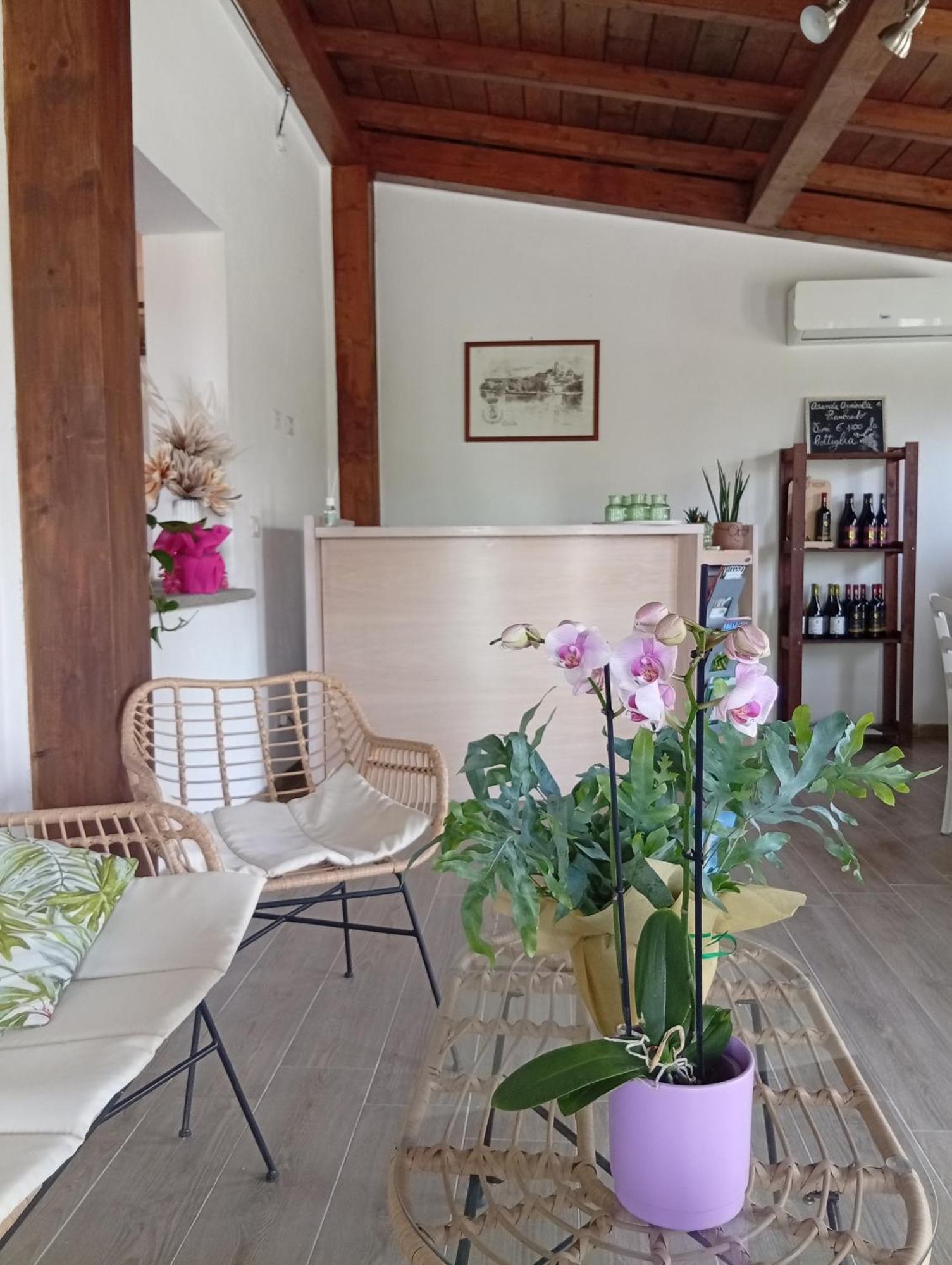 Agriturismo Santa Maria Marta Buitenkant foto