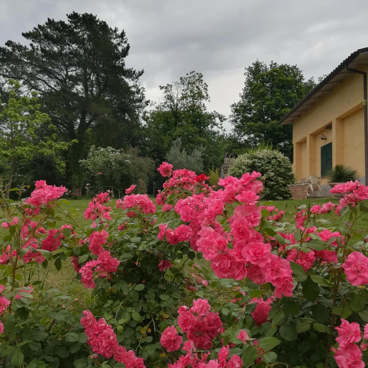 Agriturismo Santa Maria Marta Buitenkant foto