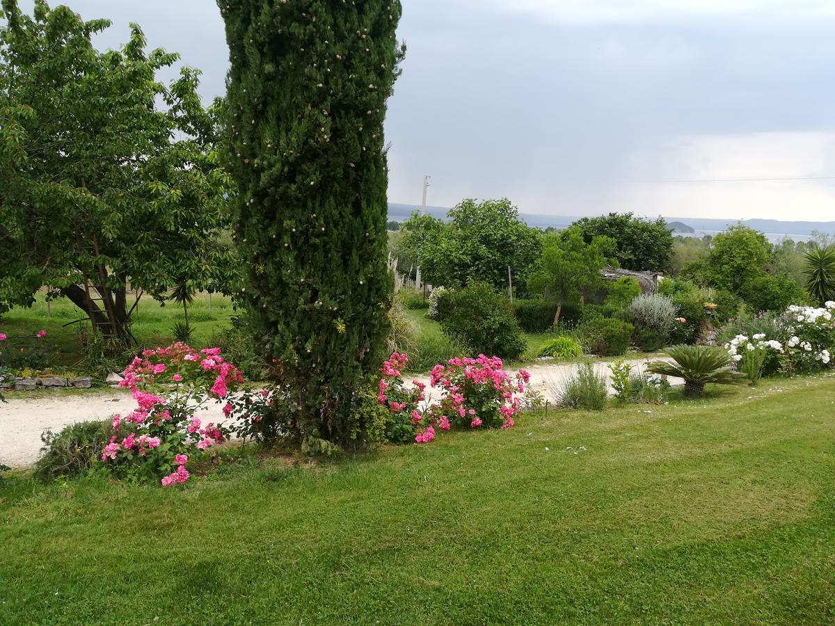 Agriturismo Santa Maria Marta Buitenkant foto